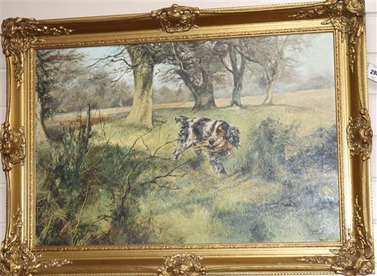 § Henry Wilkinson (1921-2011) Spaniel retrieving woodcock 20 x 30in.